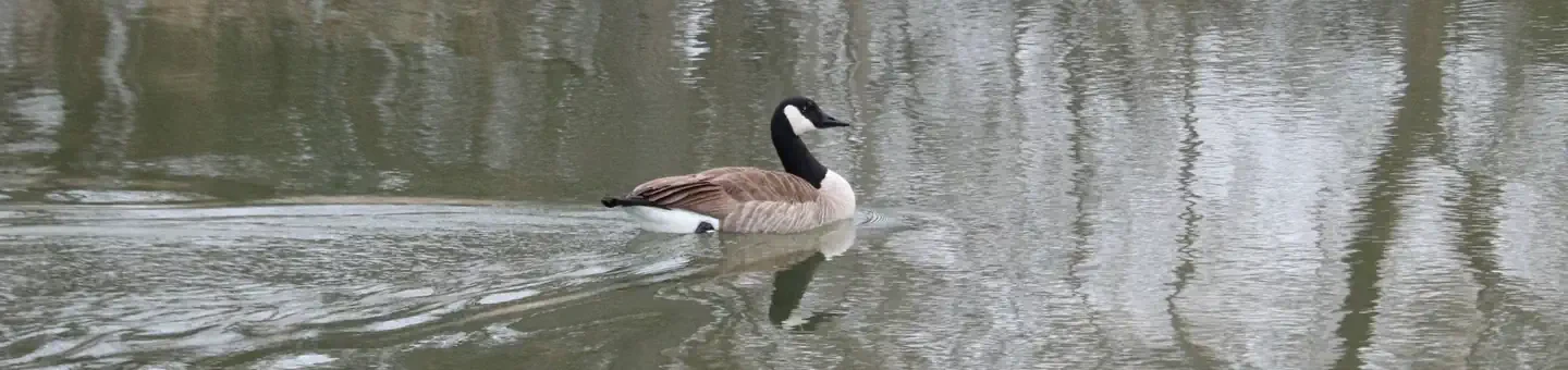 76