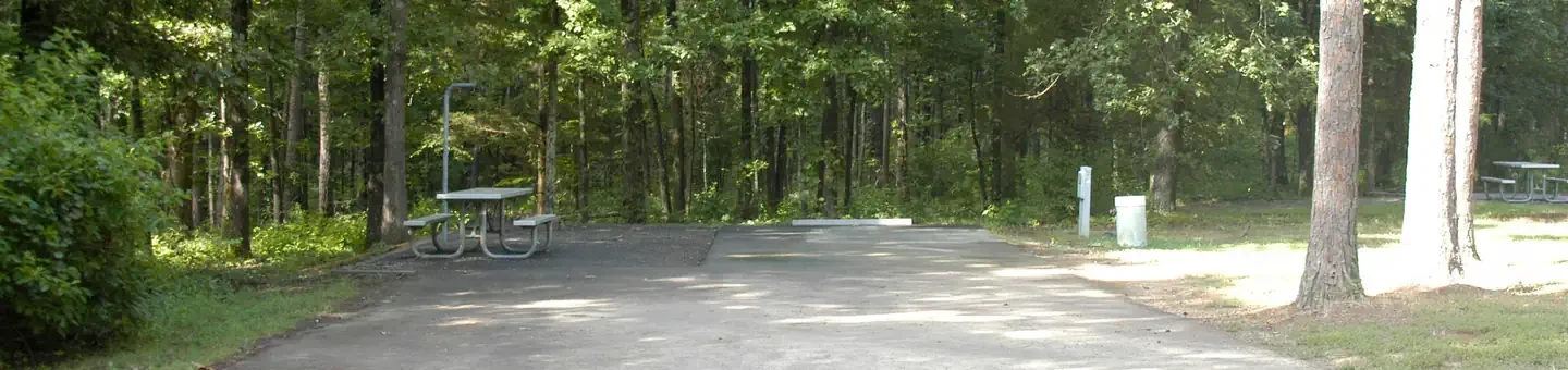 N23