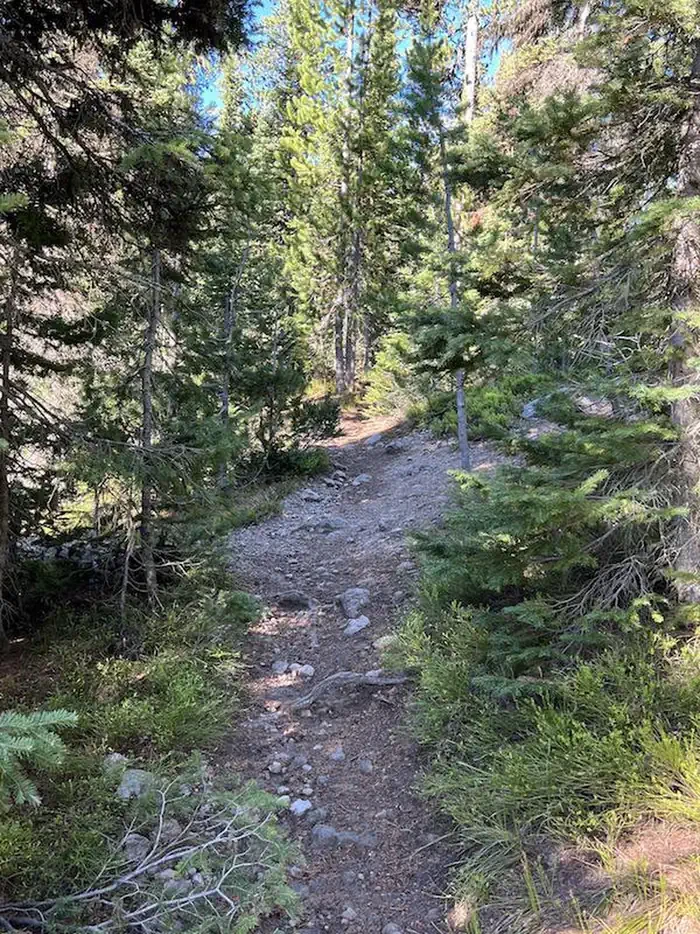 Lewis Lake site #4