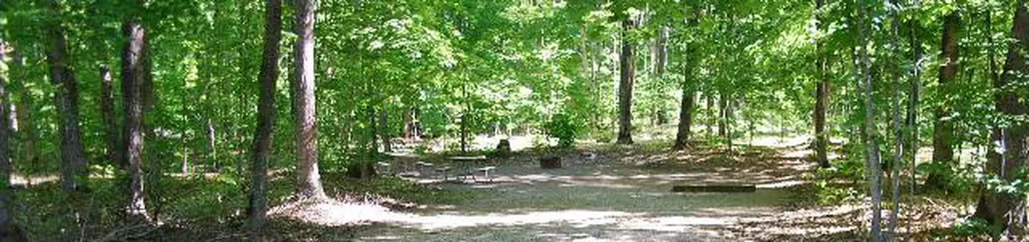 14D