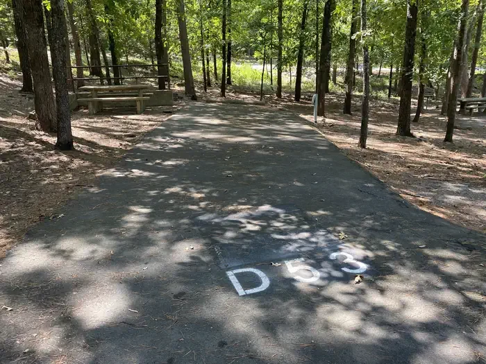 D53