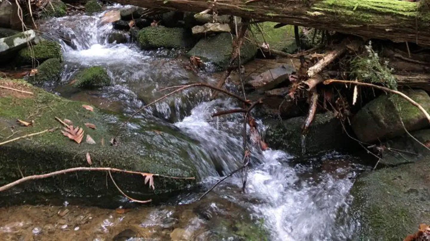 Minister Creek Campground and Trailhead