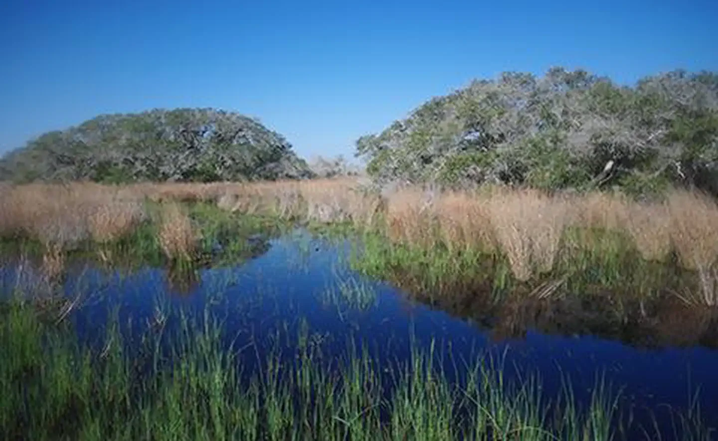 Mission-Aransas National Estuarine Research Reserve