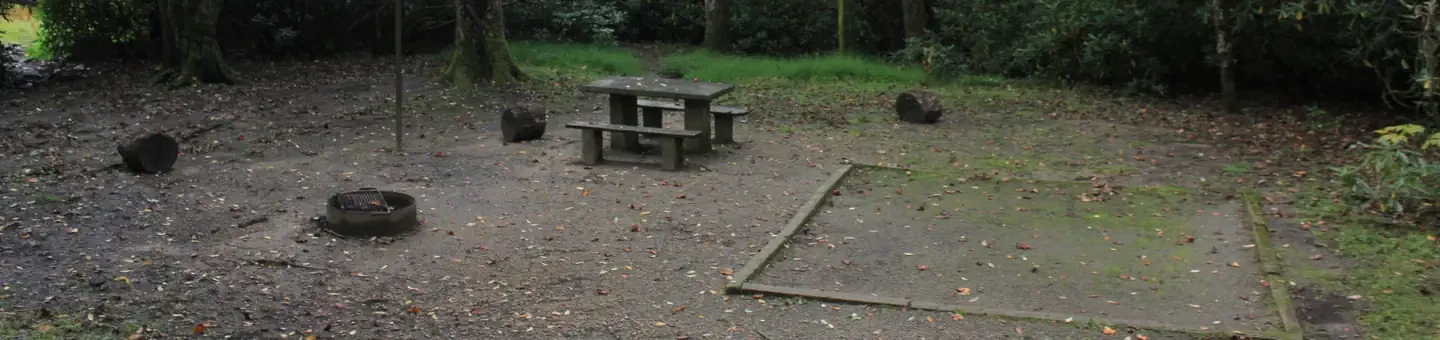 A06