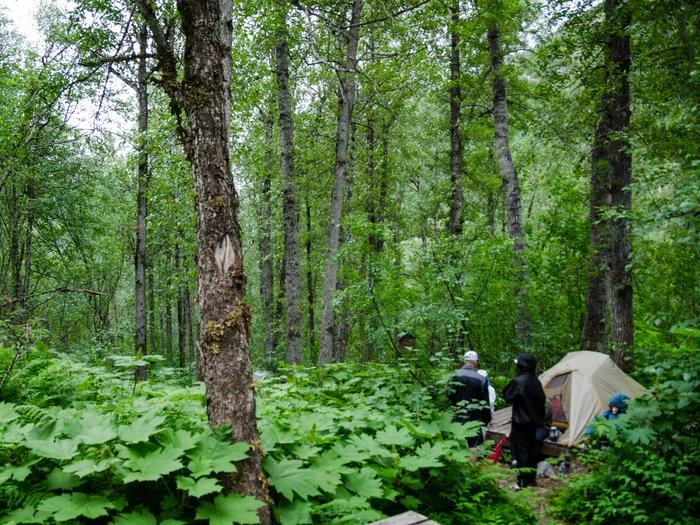 Site 12 Sheep Camp