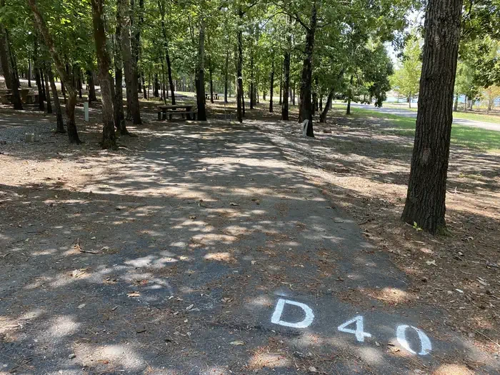 D40
