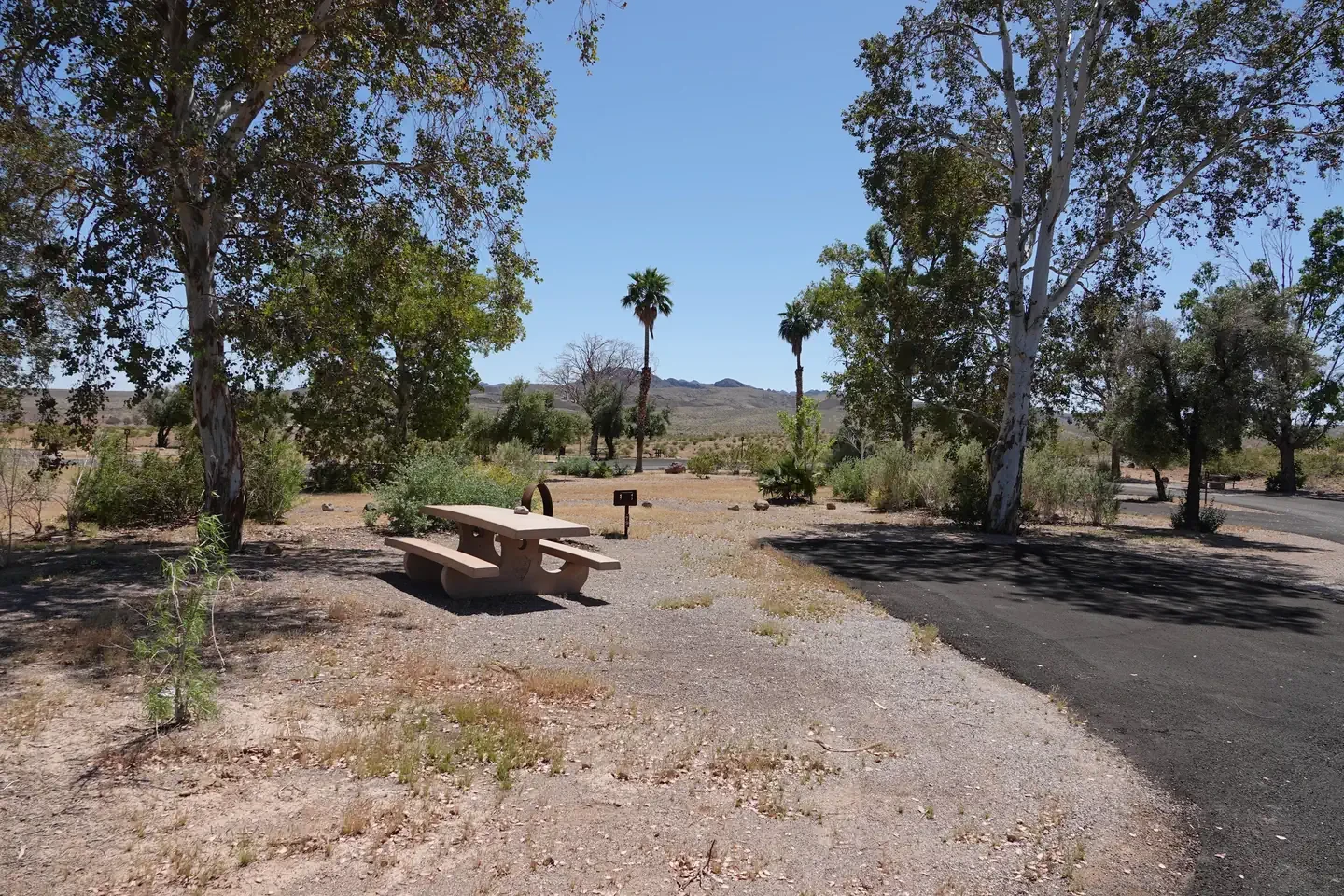 Site 79