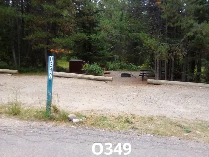 349