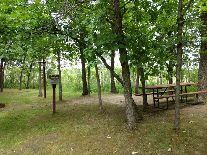 Tent 7