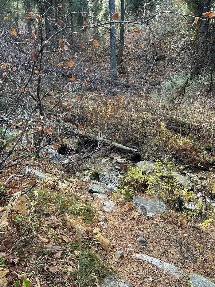 Hayfork Group Cg
