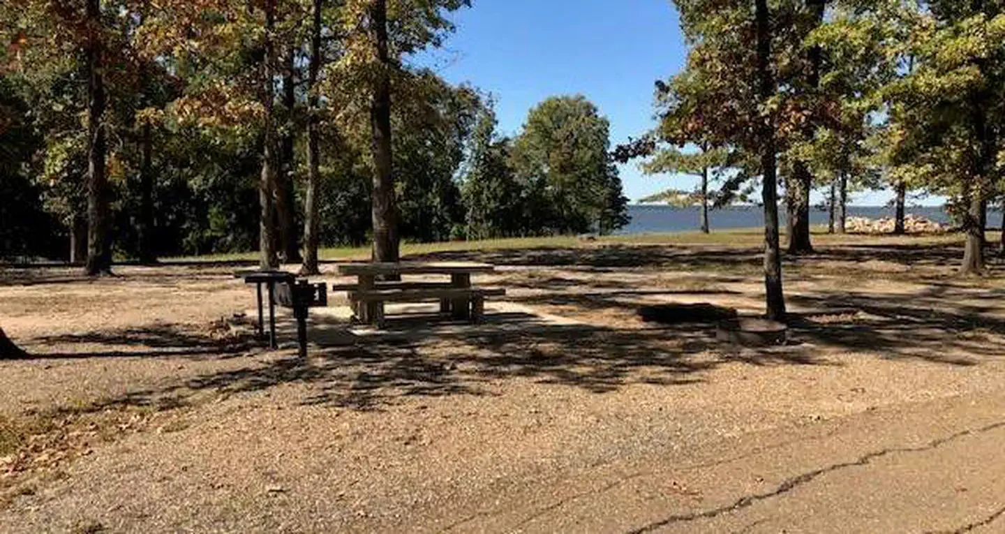 D23