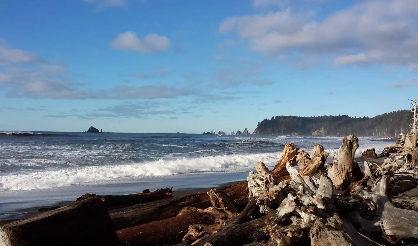 Olympic National Park Wilderness Permit