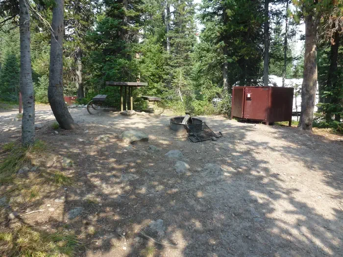 Lewis Lake site #78