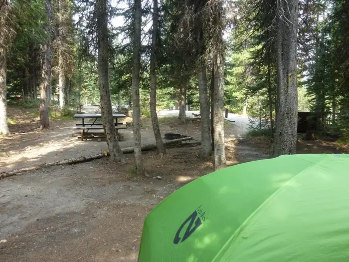 Lewis Lake site #40