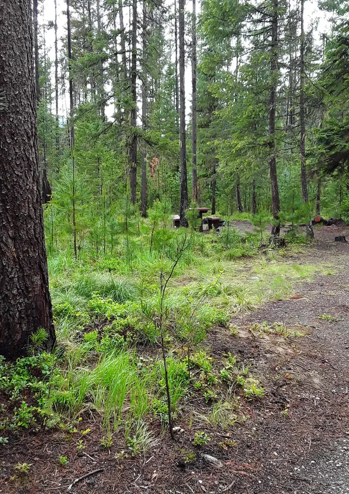 Cabin City Campground (MT)