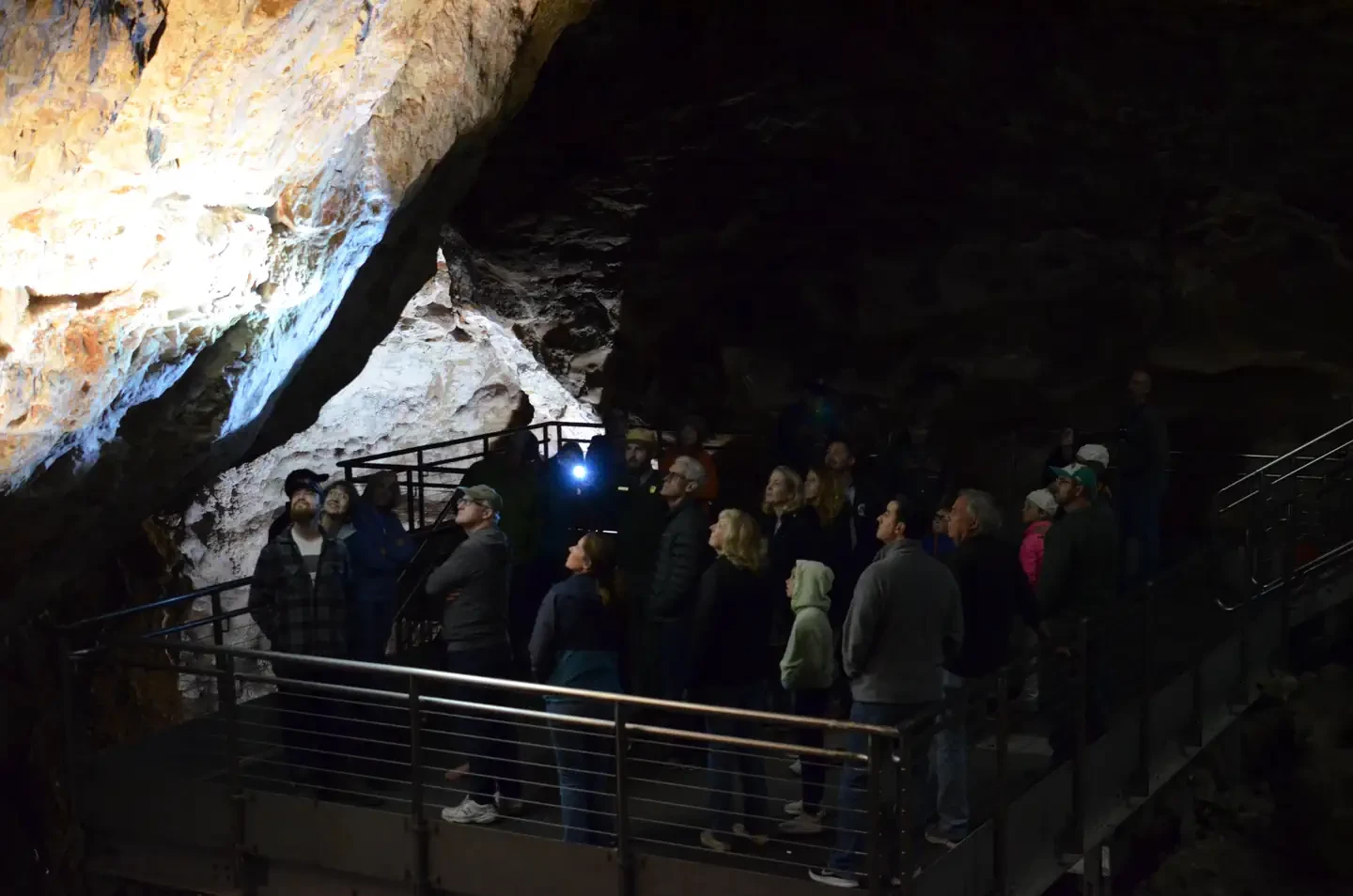 Discovery Tour