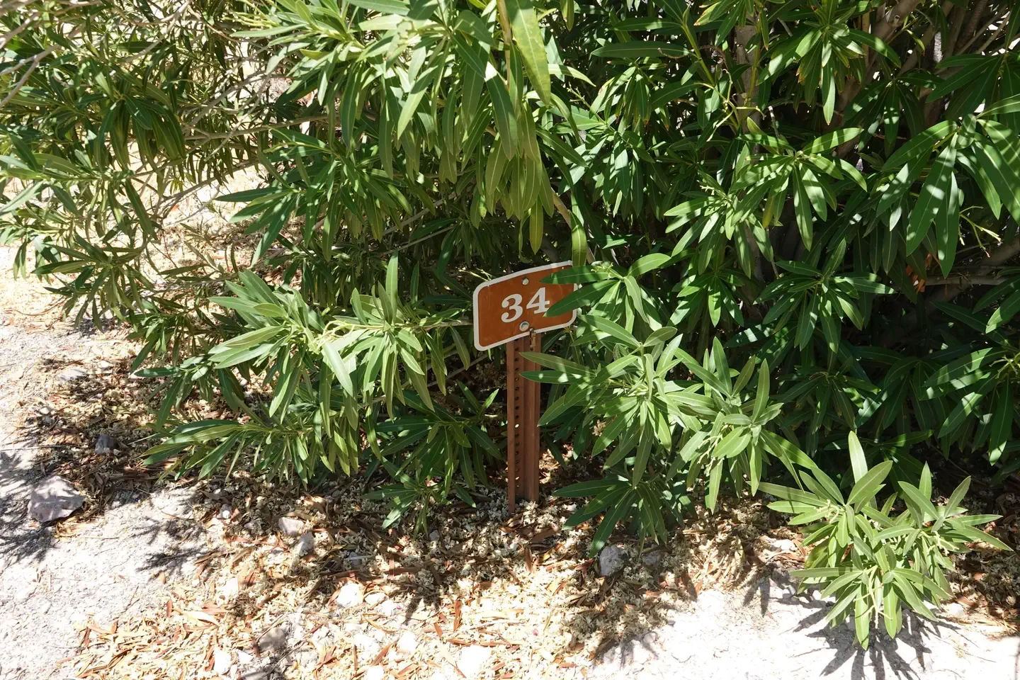 Site 34