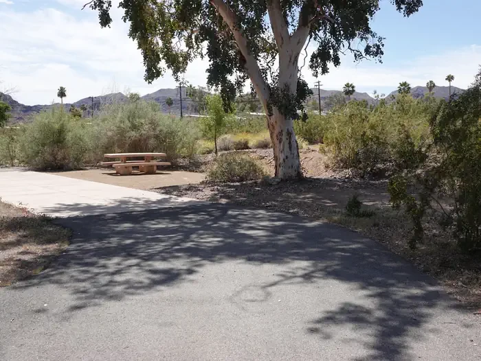 Site 3