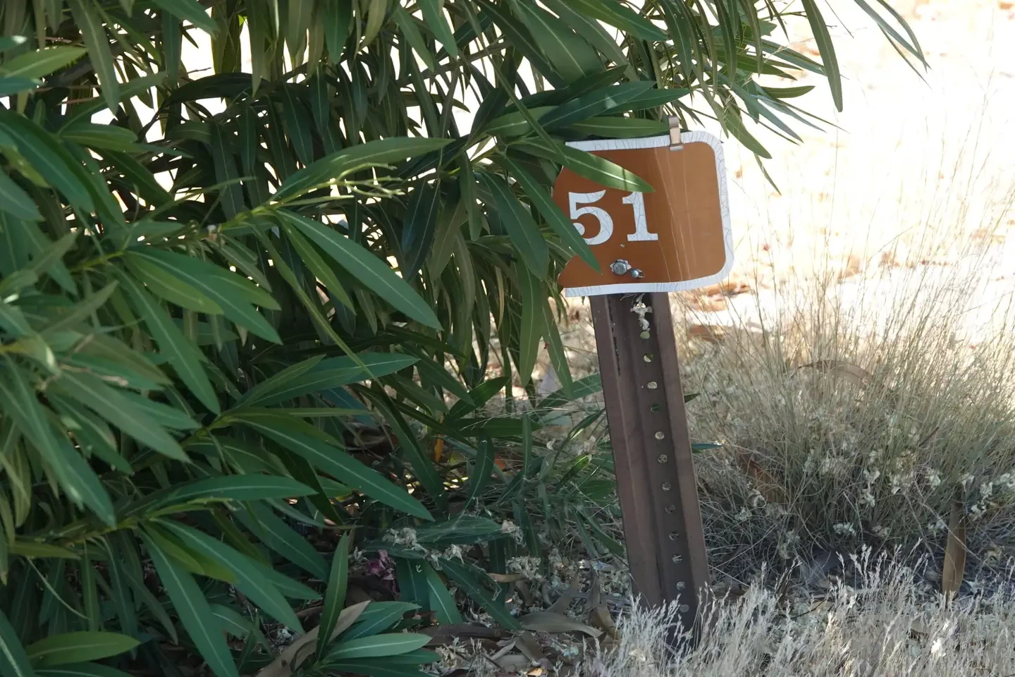 Site 51