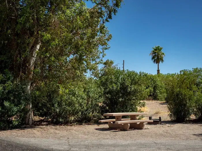 Site 61
