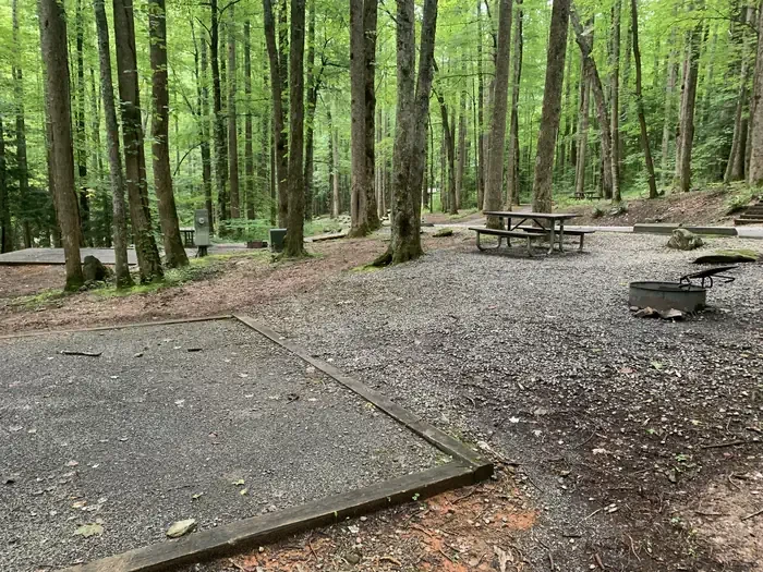 B43