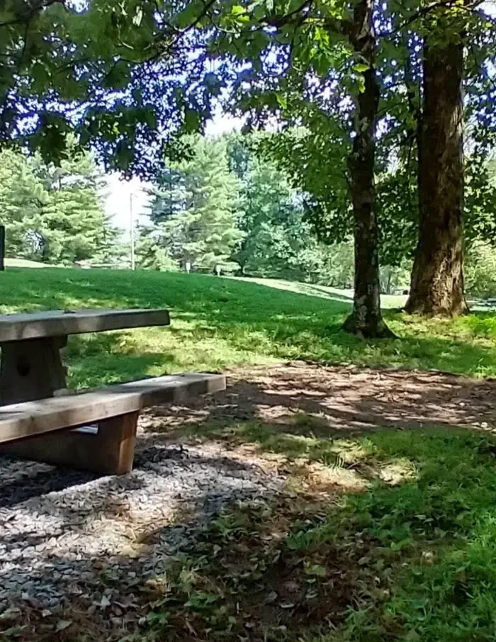 B46
