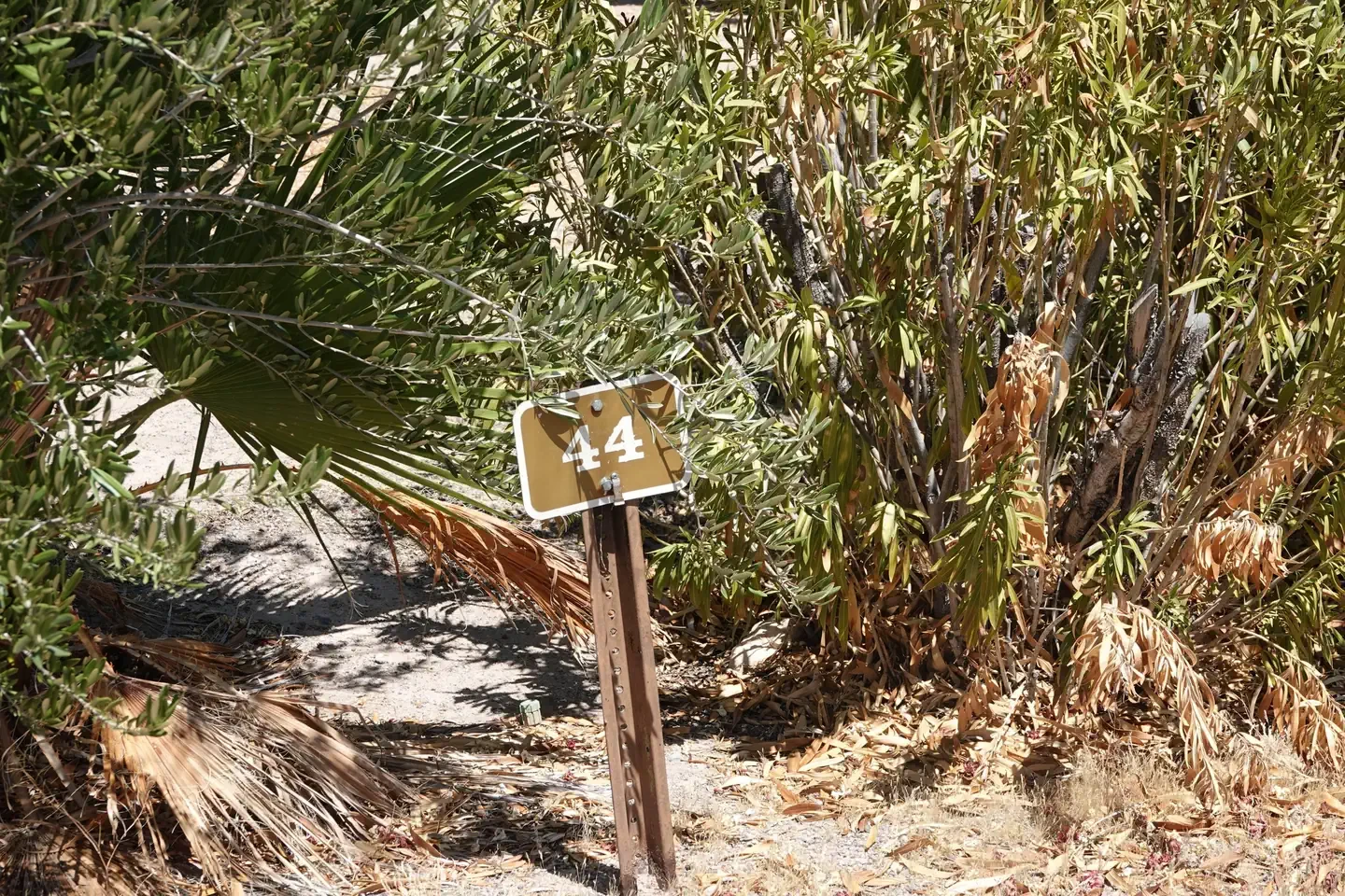 Site 44