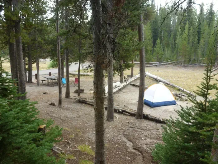 Lewis Lake site #15