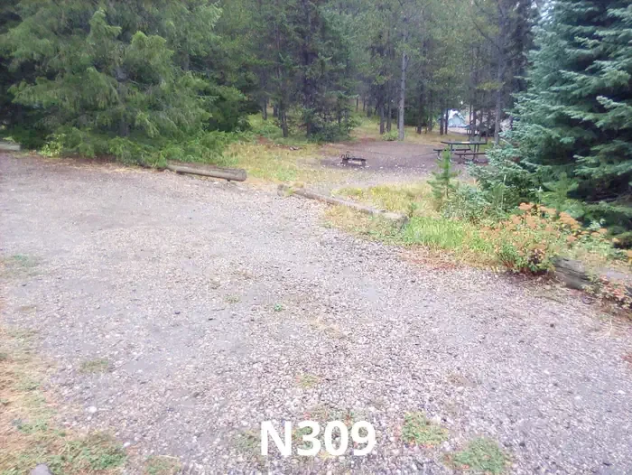 309