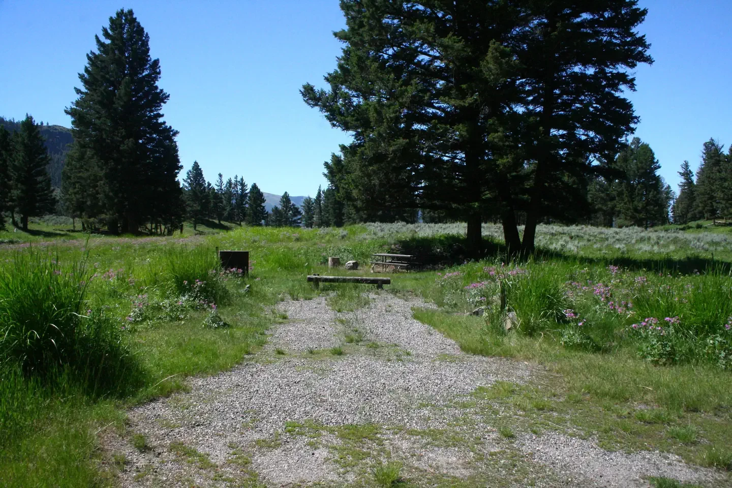 Slough Creek site #8