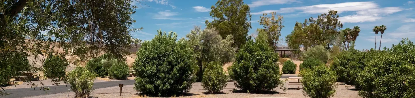 Callville Bay Campground