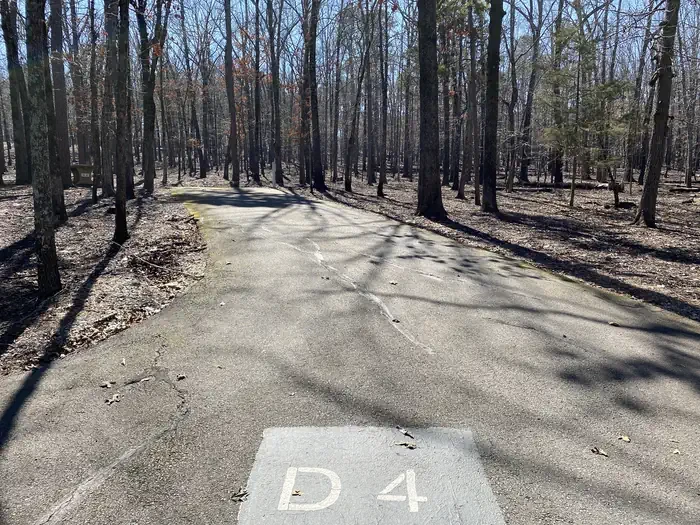 D04
