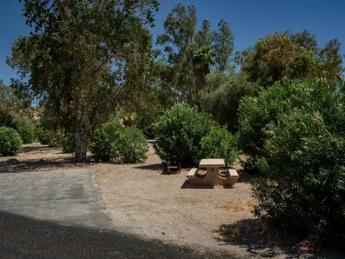 Site 42
