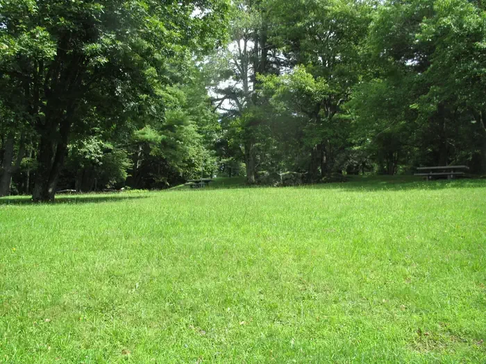 C75