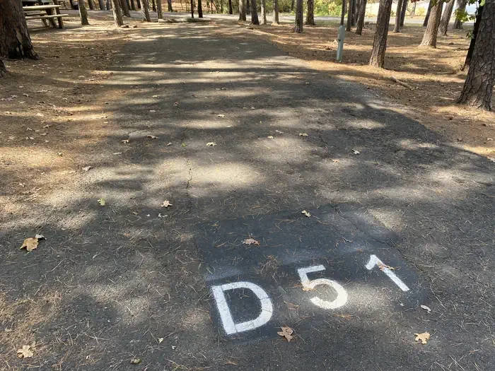 D51