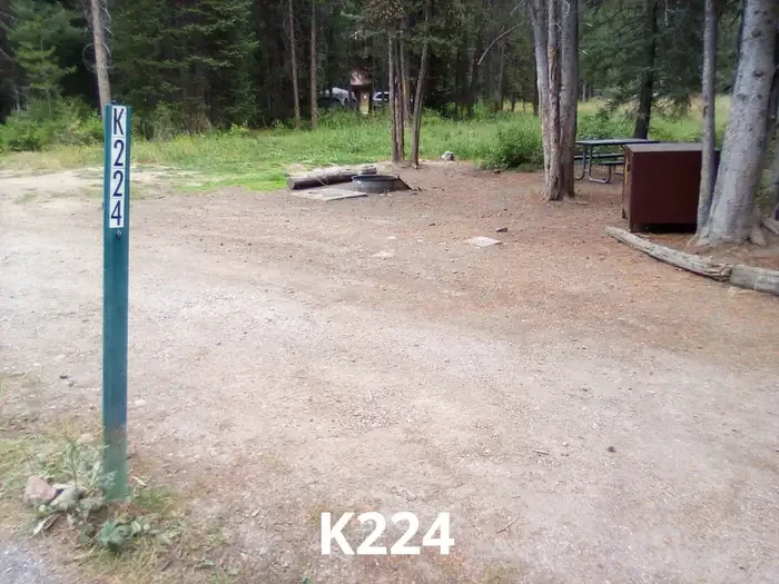 224