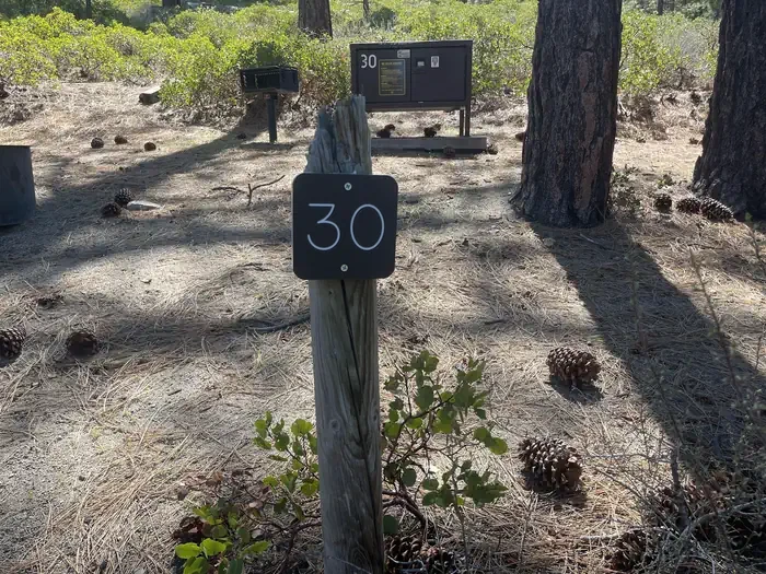 30