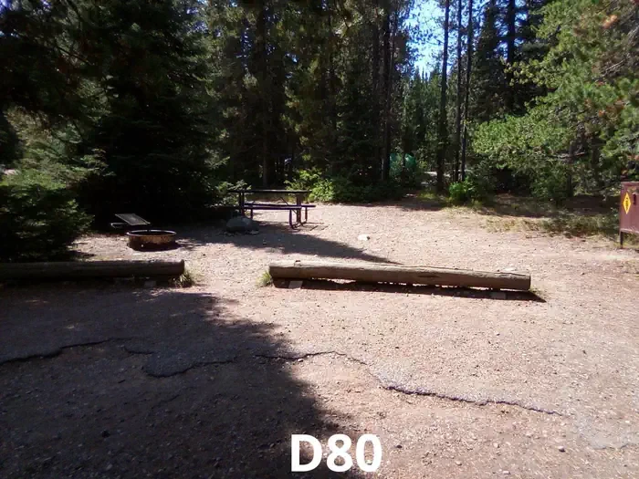 80