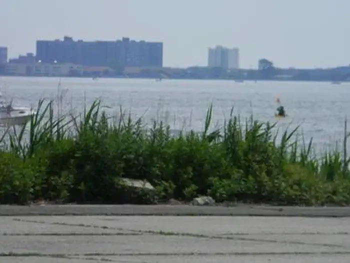 Camp Gateway- Brooklyn Ny