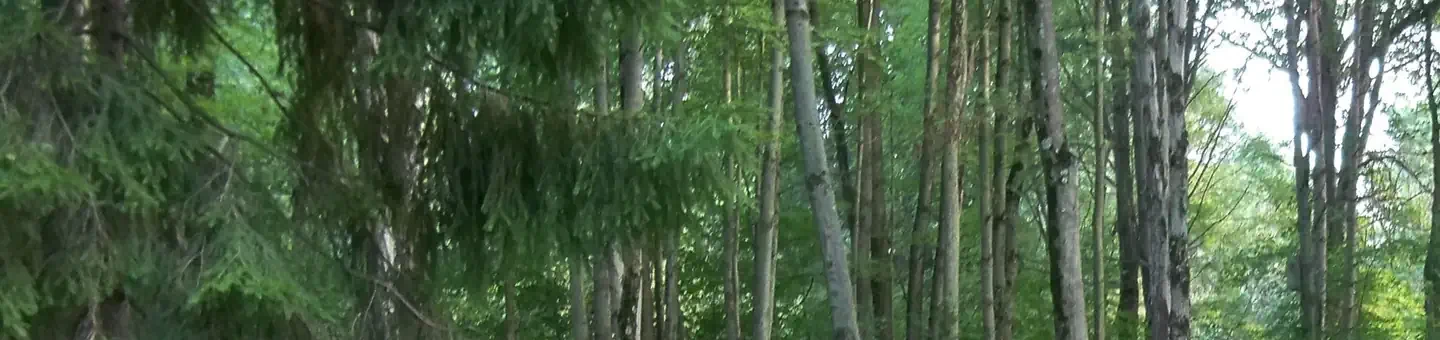 H14