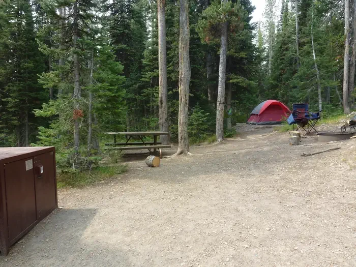 Lewis Lake site #48