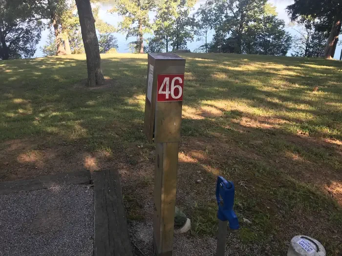 46