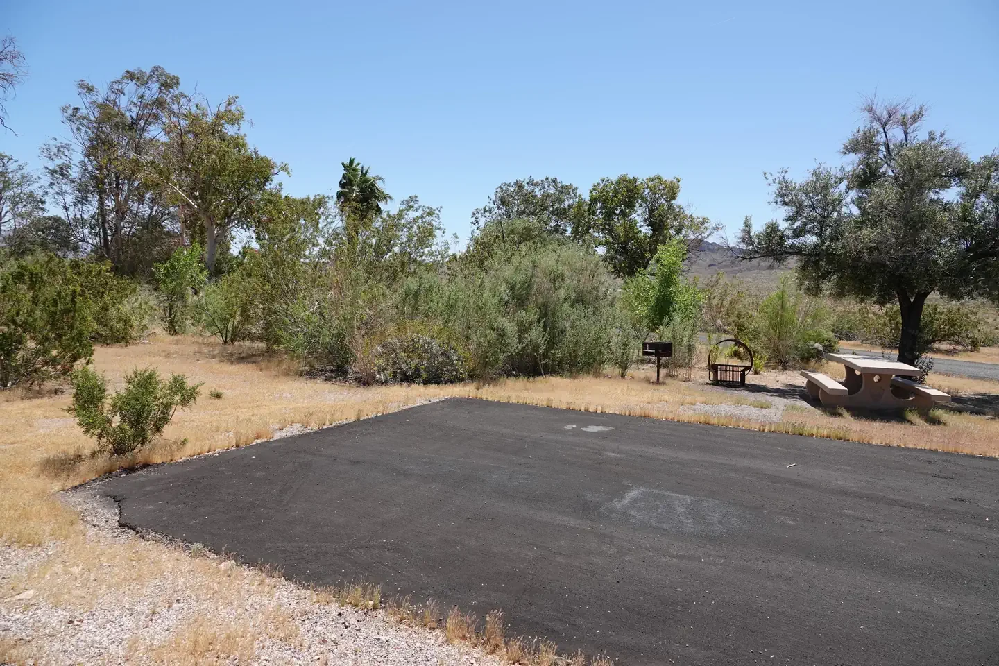 Site 55