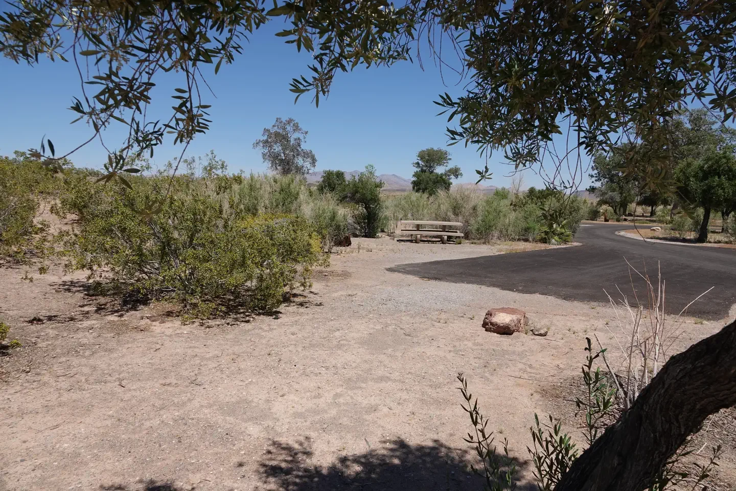 Site 78