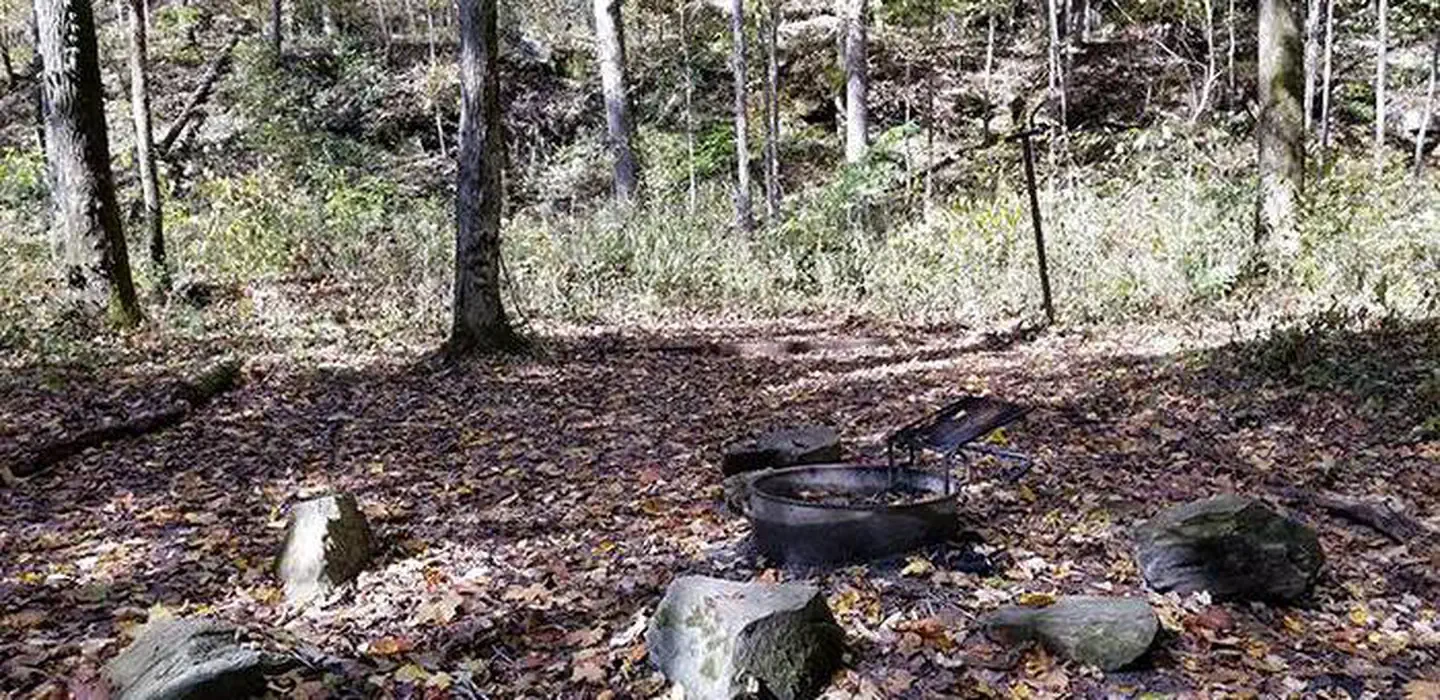 Three Springs