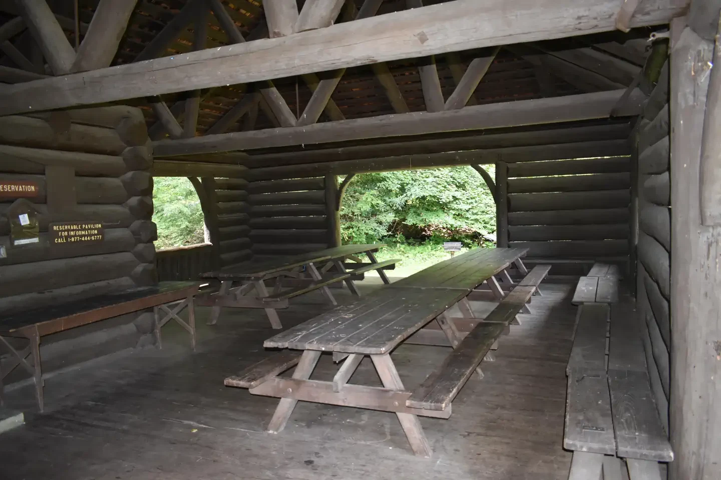 Large Picnic