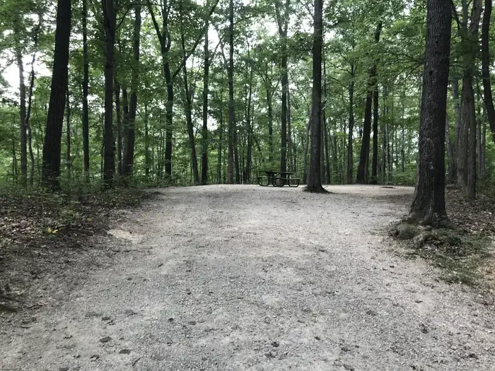 119
