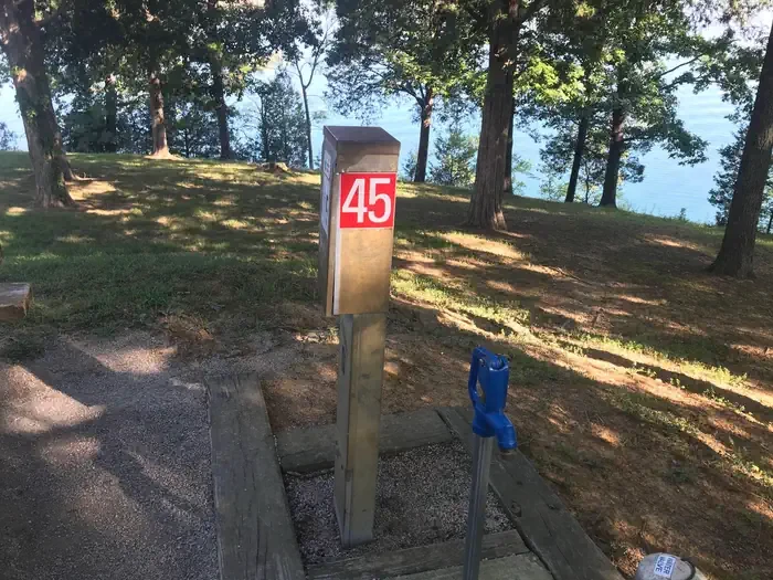45