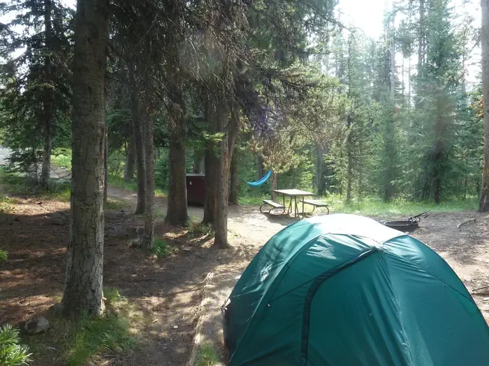 Lewis Lake site #68