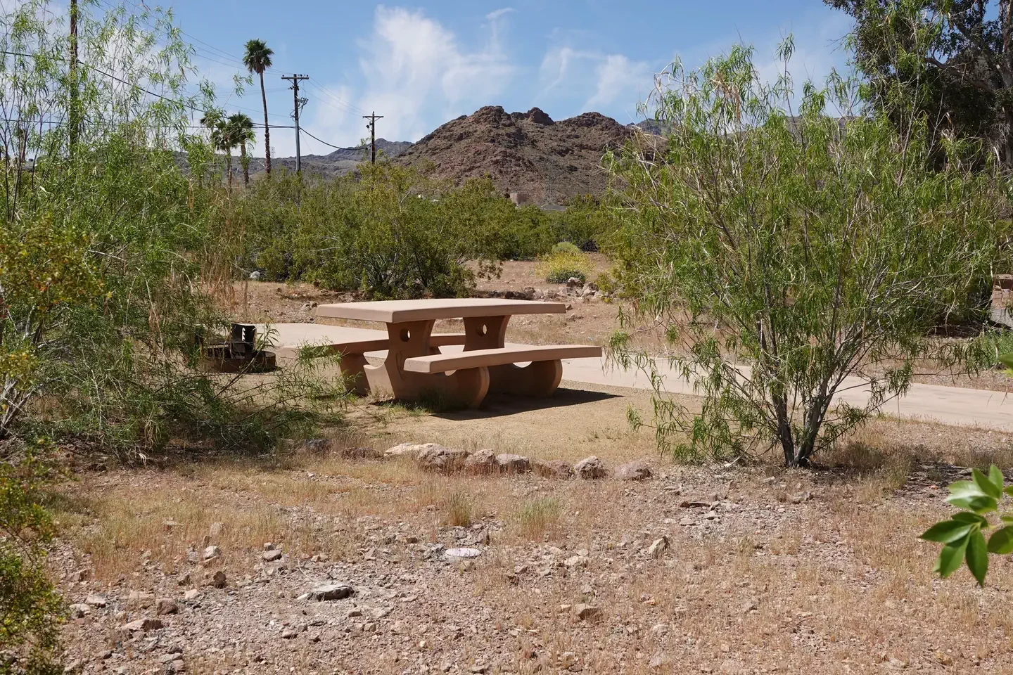 Site 9